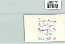 24638 W2351 Schmalensee FOTO KEINE AK Mütterheim Innenaufnahme Eingangshalle