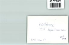 94556 W8351 Waldhäuser FOTO KEINE AK DJH Aufenthaltsraum
