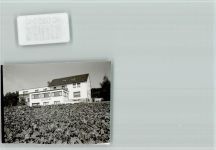 54655 W5531 Densborn FOTO KEINE AK Haus Hubertus