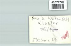 52396 W5169 Mariawald , Abtei FOTO KEINE AK