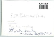 94239 W8375 Ruhmannsfelden FOTO KEINE AK Musikkapelle
