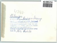 33189 W4797 Schlangen FOTO KEINE AK Bauernkamp