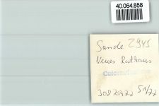 26452 W2945 Sande , Kr Friesl FOTO KEINE AK Neues Rathaus