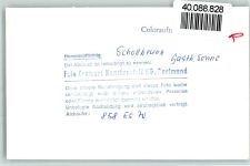 69429 W6935 Schollbrunn , Odenw FOTO KEINE AK Gasthaus Sonne