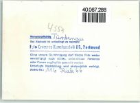 49584 W4557 Fürstenau b Bramsche, Hase FOTO KEINE AK Rathaus, Opel