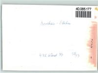 33178 W4799 Borchen FOTO KEINE AK Ortsansicht