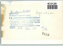 29386 W3122 Hankensbüttel FOTO KEINE AK Gymnasium