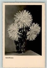 Herbstblumen in der Vase Blume