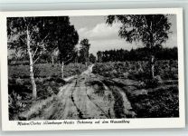 29328 W3105 Müden , Örtze - Birkenweg