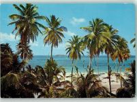 San Andres