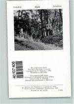Pushkin - Katharinenpark