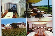 65375 W6227 Mittelheim , Rheingau - Hotel Rheinterrasse Ruthmann