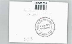 97922 W6970 Lauda - Foto
