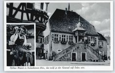 67146 W6705 Deidesheim
