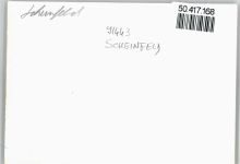 91443 W8533 Scheinfeld - Foto