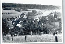 56479 W5439 Neunkirchen , Westerw - Foto-Karte