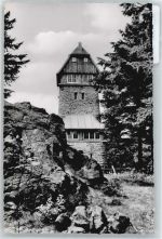 38889 O3721 Altenbrak - Burg Felsen Baum