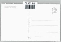 23701 W2420 Uklei