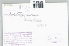 57548 W5242 Kirchen (Sieg) - Foto Gesamtansicht Haus Baum Berg
