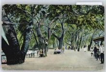 Odessa