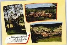97833 W8773 Frammersbach - Panorama Wald
