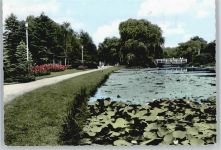 25436 W2082 Uetersen - Rosarium