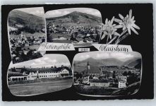 83734 W8164 Hausham - Teilansicht, Edelweiss