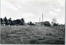 21745 W2170 Hemmoor - Kuhweide