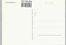 24361 W2333 Groß Wittensee - Teilansicht
