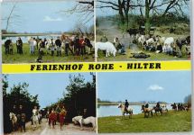 49762 W4474 Lathen - Ferienhof Rohe