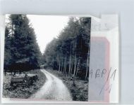 24361 W2333 Groß Wittensee FOTO KEINE AK Foto mit Negativ