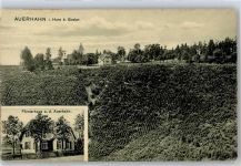 38640 W3380 Auerhahn , Oberharz - Försterhaus