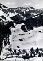 87544 W8976 Gunzesried Gebrauchsspuren Säge , Fliegeraufnahme