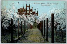 14542 O1512 Werder (Havel) - Friedrichshöhe, Baumblüte