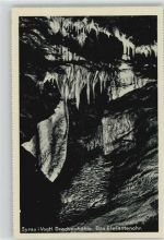 08548 O9906 Syrau 1940 - Drachenhöhle Elefantenohr