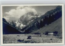 Neustift im Stubaital Pinnisalpe Stubaital