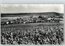 55450 W6536 Langenlonsheim