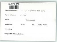25863 W2251 Langeneß FOTO KEINE AK