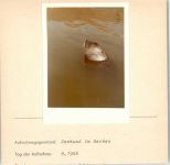Foto montiert auf Karton Robbe FOTO KEINE AK