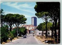 58022 Follonica - Senzuno Veduta dalla Pineta
