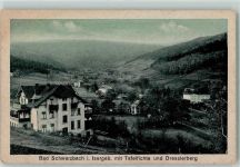 Bad Schwarzbach Czerniawa Zdroj - Tafelfichte und Dresslerberg