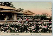 Kabata 1912 - Iris Garden