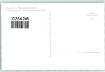 93167 W8411 Falkenstein , Oberpf - Urwald am Falkenstein