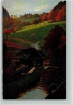 Schwarzwaldserie III Nr. 5 - Verlag Heinrich Walter Schwarzwald
