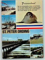 W2252 St Peter-Ording Seehund und versch. Bilder AK Robbe 1982