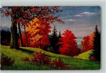 Nr. 1279 von W. Hoy - Landschaft am Bodensee AK Degi Künstlerkarte