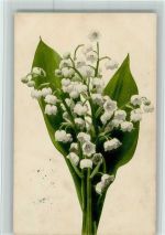 Maiglöckchen Blume