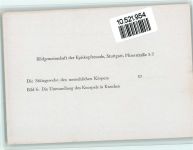Serie Bildgemeinschaft der Episkopfreunde - Stützgewebe des menschlichen Körpers Bild 6 Medizin Künstlerkarte