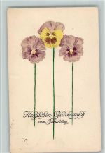 Geburtstag, Stiefmütterchen, gute Erhaltung AK Blume 1926