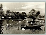 14542 O1512 Werder (Havel) - Schwäne
